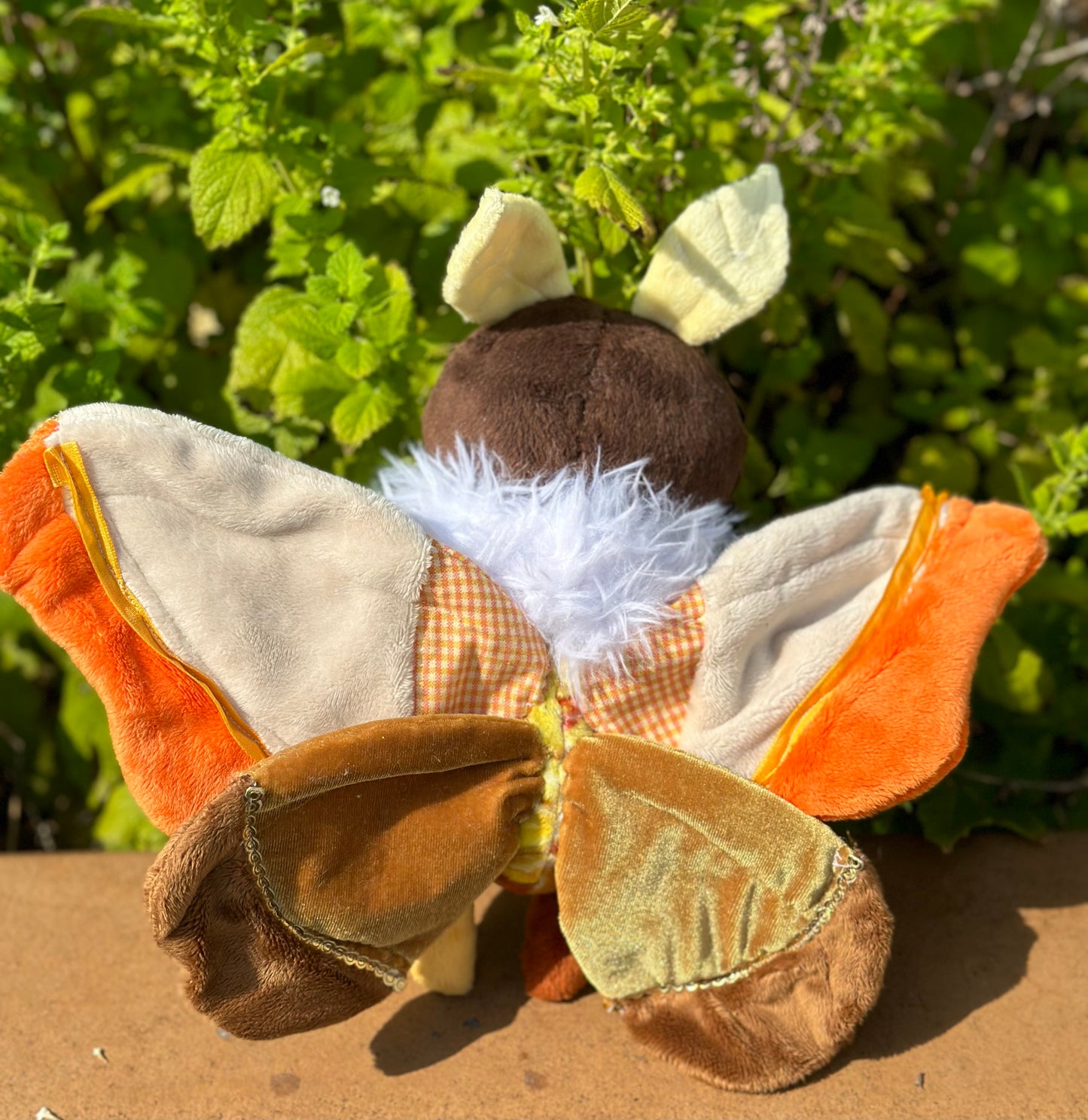 Eco Wings- Sustainable Moth & Butterfly Collection