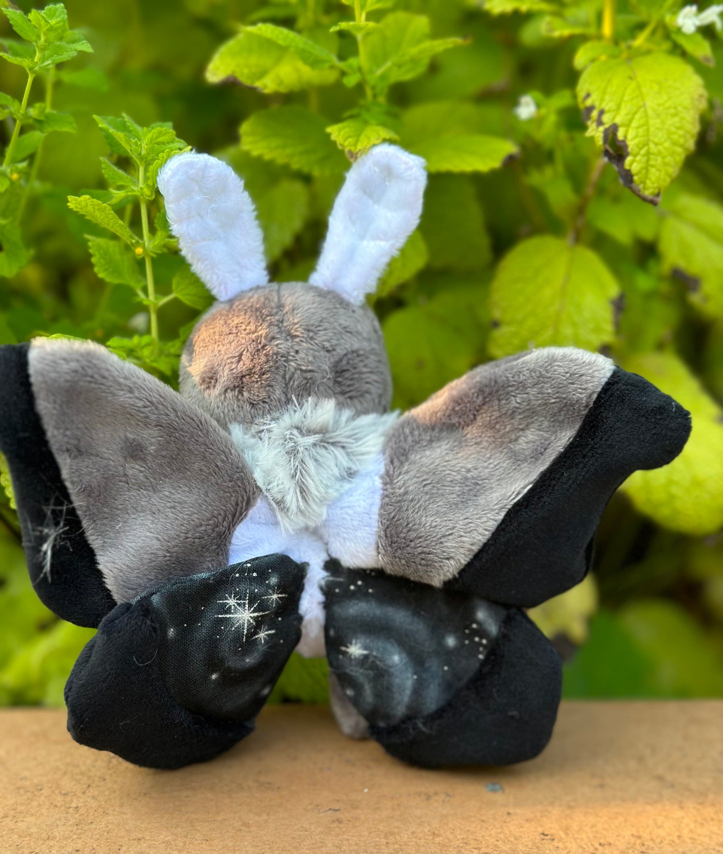 Eco Wings- Sustainable Moth & Butterfly Collection
