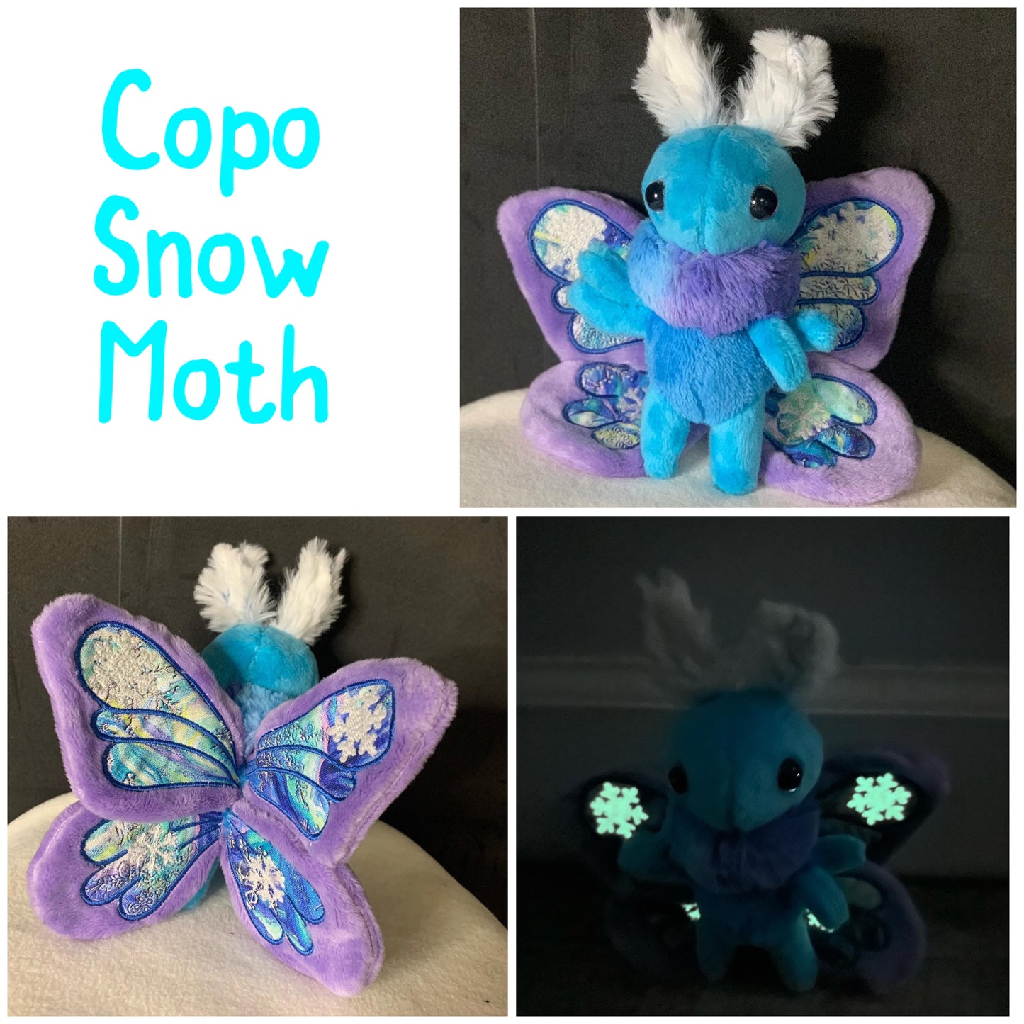 Mini Moth & Butterfly Collection