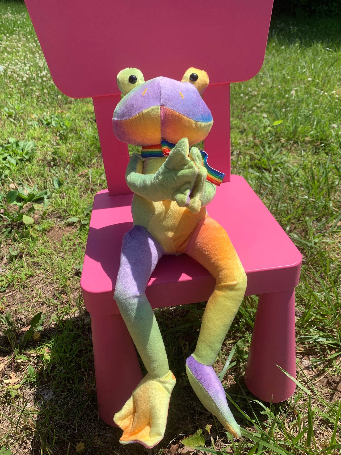 Pride Frog Collection