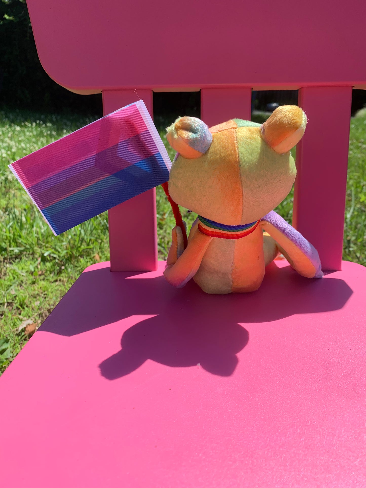 Pride Frog Collection